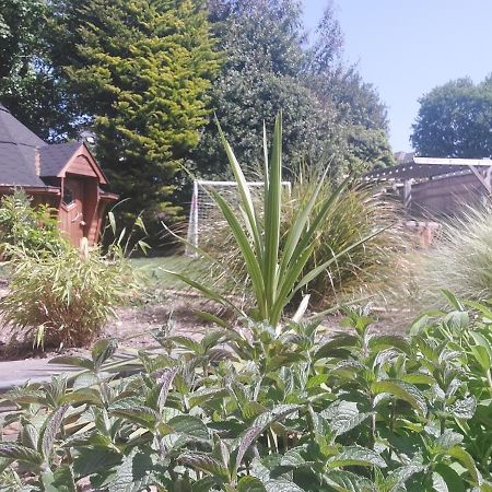 Beach House, With Bbq Lodge And Hot Tub! Bournemouth Eksteriør billede